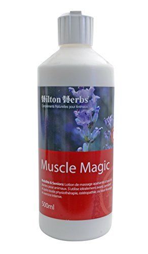 Hilton Herbs Muscle Magic 500ml