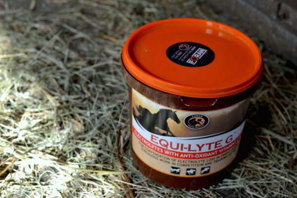 FORAN Equi-Lyte G -smaczne elektrolity 1kg, 4kg, 10kg - Hayloft