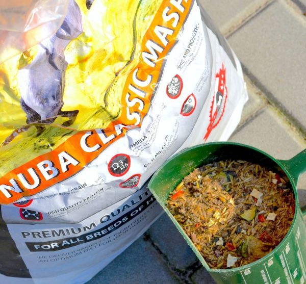 Nuba Classic Mash – mesz warzywny