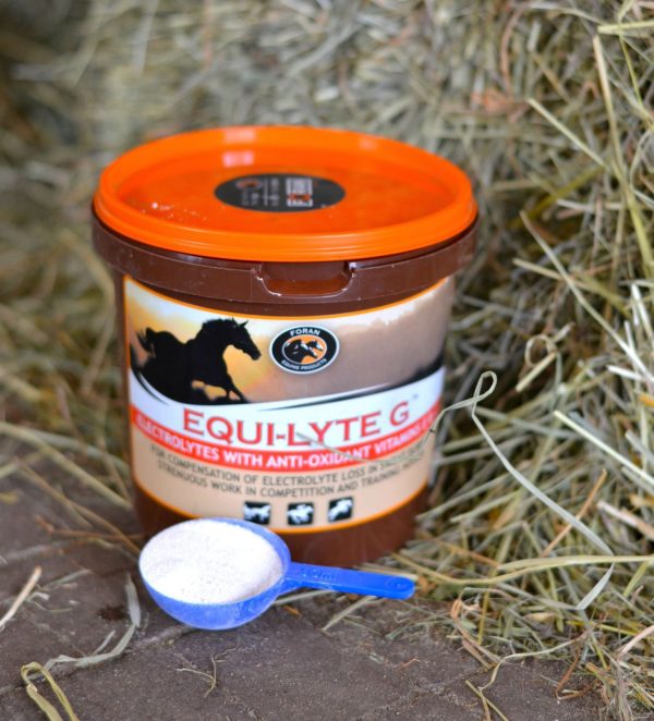 FORAN Equi-Lyte G -smaczne elektrolity 1kg, 4kg, 10kg - Hayloft