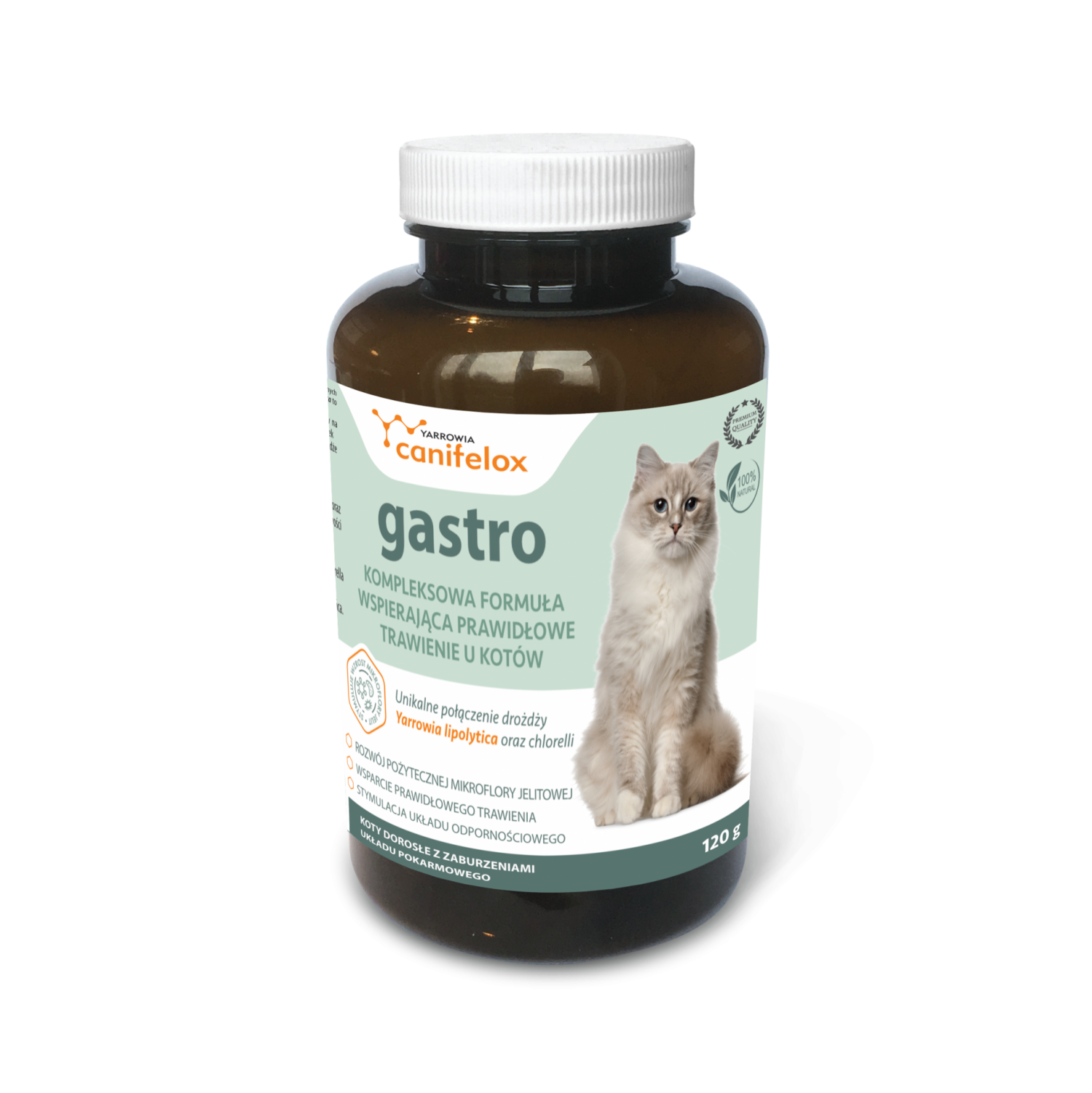 canifelox gastro cat