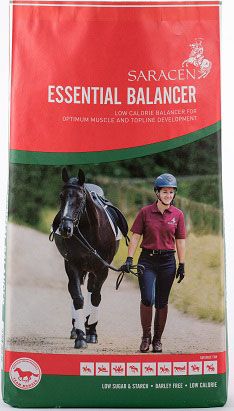 newessentialbalancerbagsmall