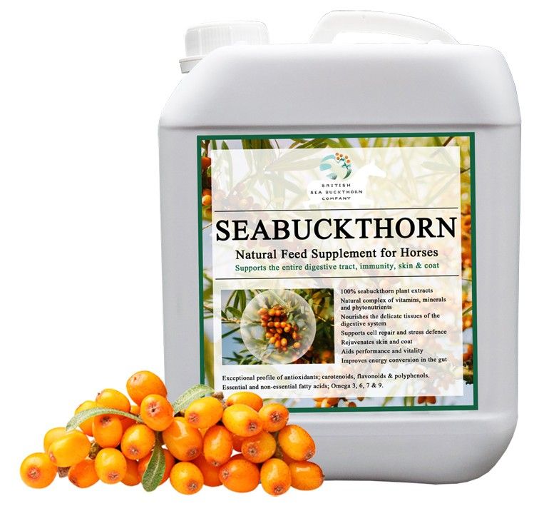rokitnik-bsc-seabuckthorn-5l