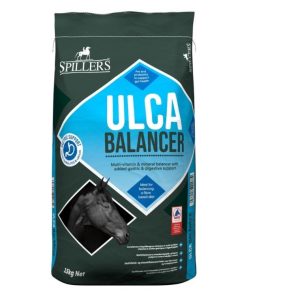 SPILLERS Ulca Balancer 15kg