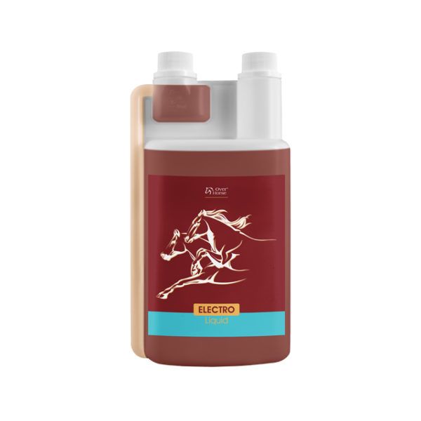 xxxx_oh_electro_liquid_1000ml_www-600x600