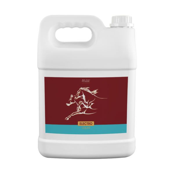 xxxx_oh_electro_liquid_5l_www-600x600